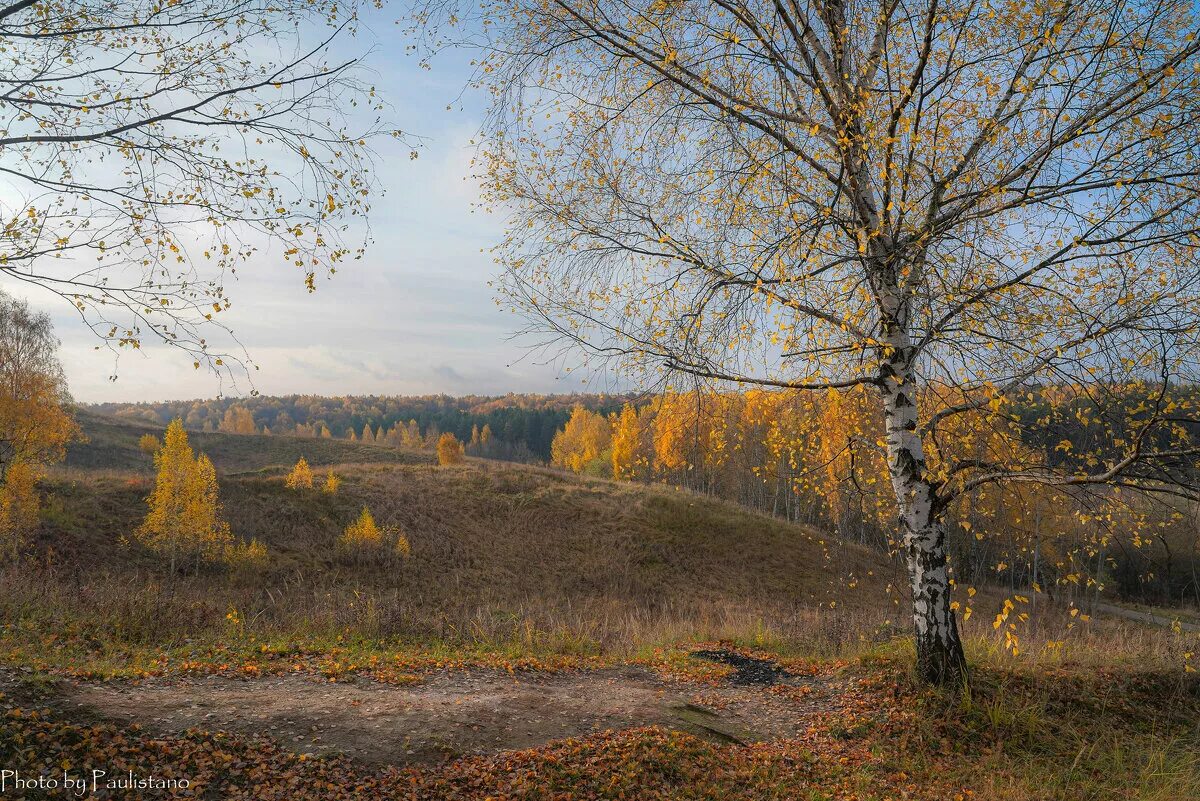 июньское утро. едкий туман. утро 14 октября. восход солнца вид из окна. осенний пейзаж.