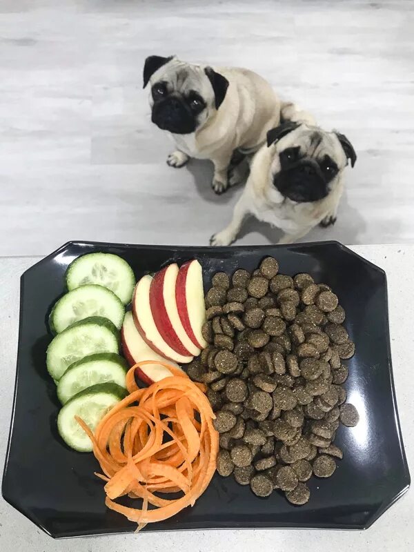 Меню щенка на день
