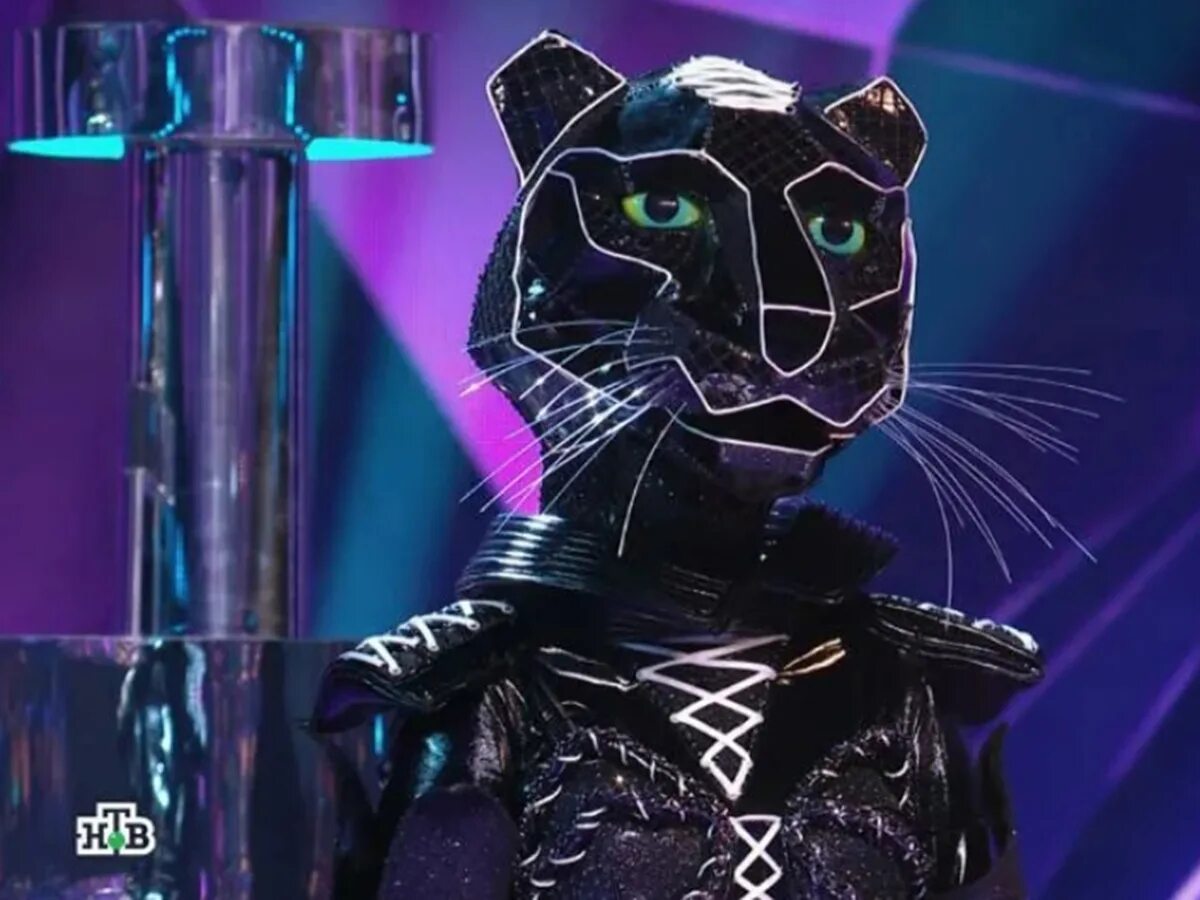 Кто под маской кота в 5. Шоу маска черная пантера. Черная пантера шоусаска.