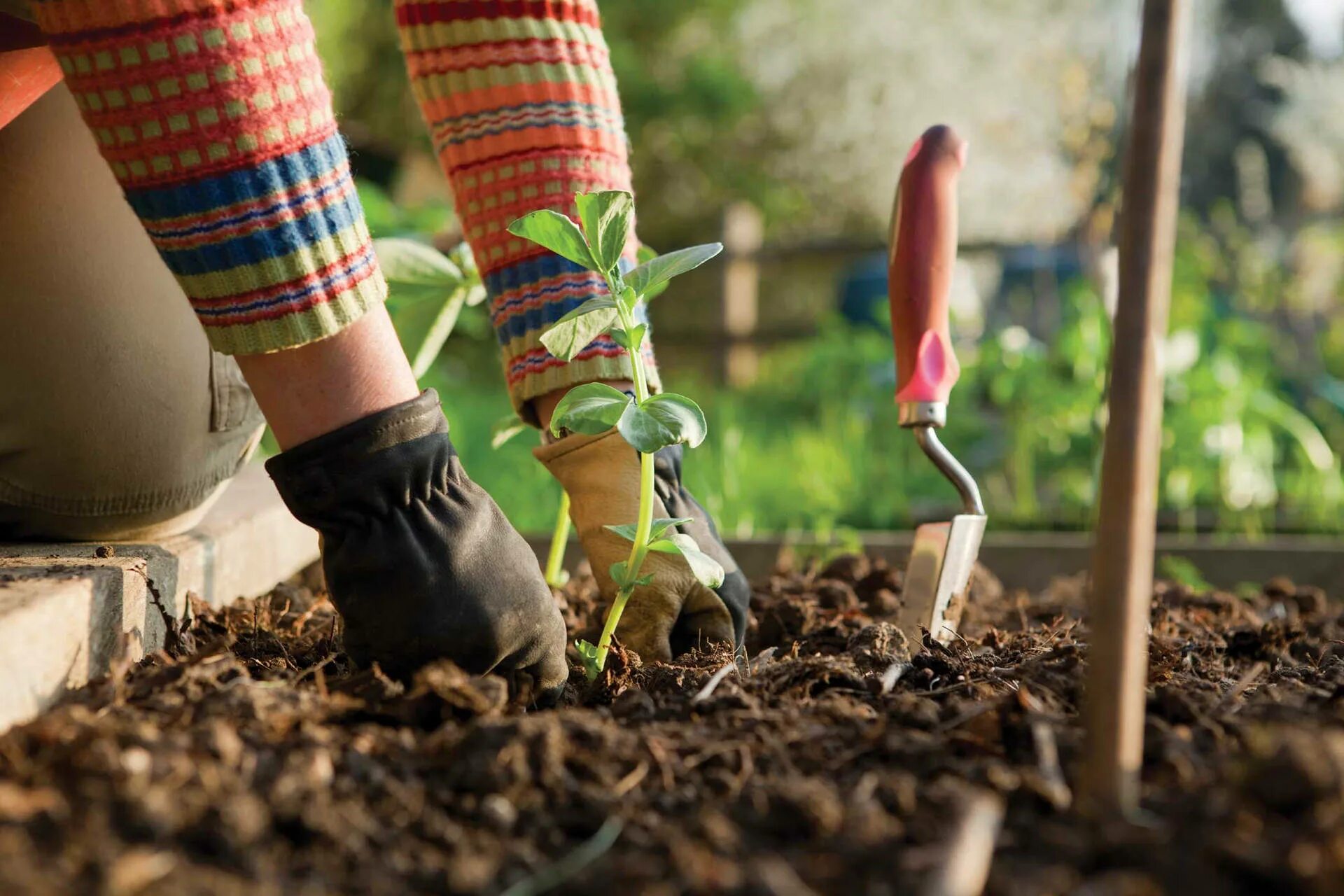 Gardens hands