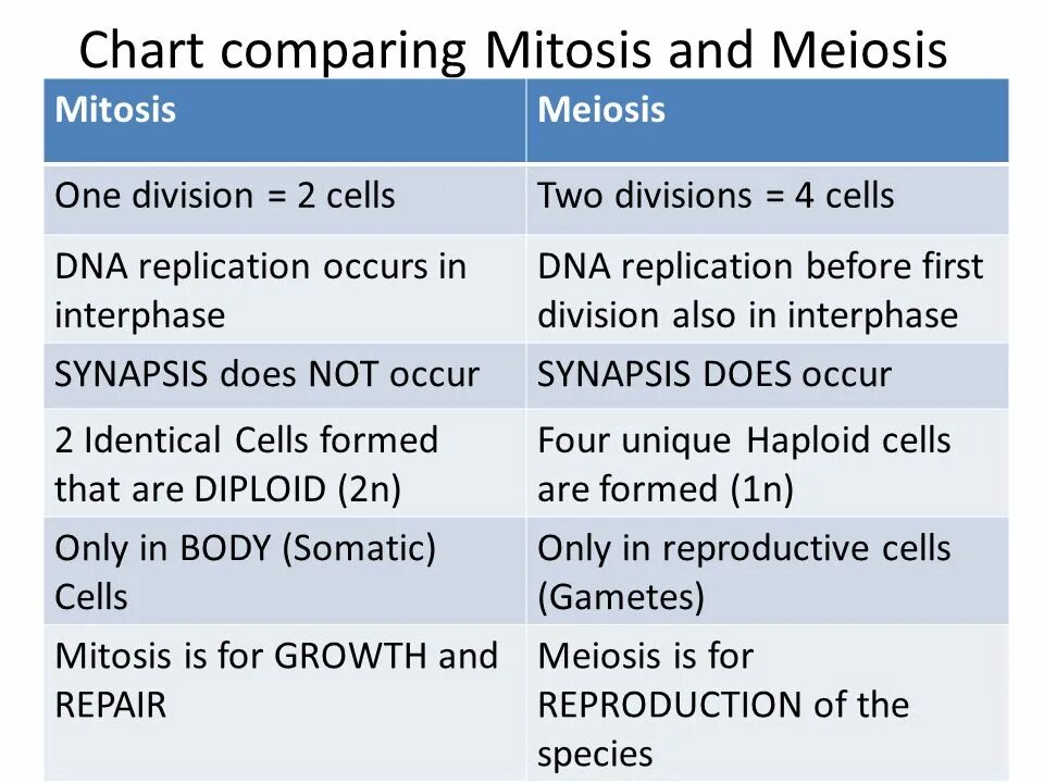 Comparison of different. Meiosis vs Mitosis. Difference between Mitosis and Meiosis. Comparison of Mitosis and Meiosis. Mitosis Meiosis difference.