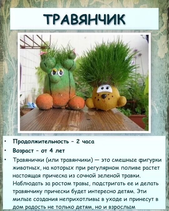 Травянчик инструкция. Инструкция для травянчика. Как ухаживать за травянчиком. Травянчик инструкция. Травянчик инструкция.