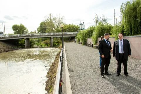Кривец курск