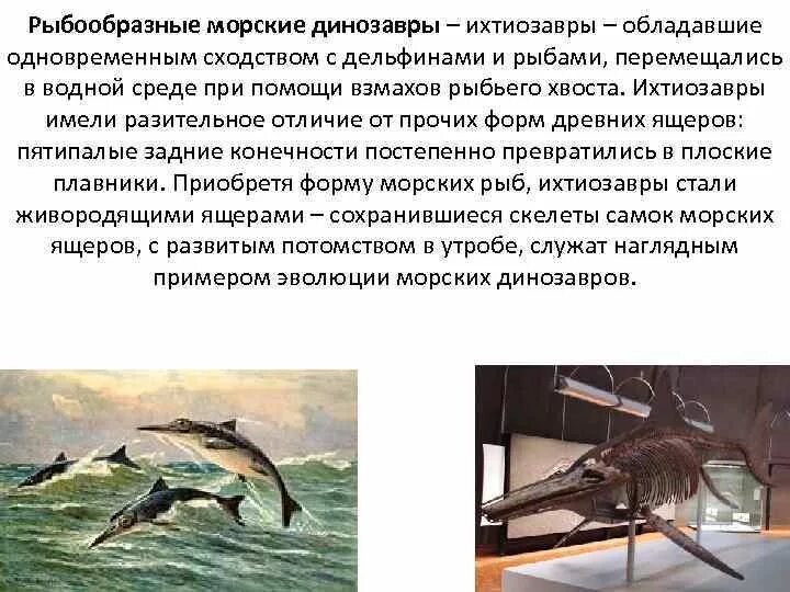 Идиоадаптация примеры у животных. Идиоадаптация у растений и животных таблица. Примеры ароморфоза идиоадаптации и дегенерации таблица. Идиоадаптации рыб. Идиоадаптация у растений и животных.