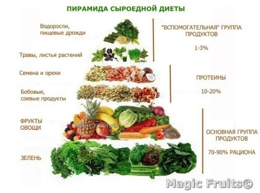 Диета для сыроедов. Меню сыроеда. Меню сыроеда. Меню сыроеда. Пирамида питания сыроеда.