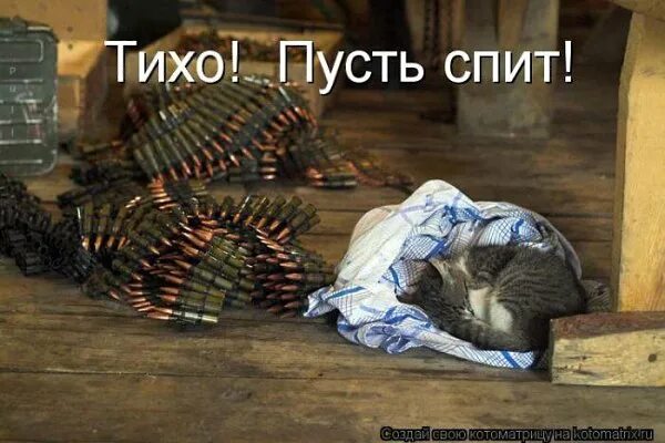 Мужики штабелями укладываются. Коты приколы с надписями. Цитаты из кинофильма девчата. Штабелями падают девчата. Падают и сами в штабеля укладываются.