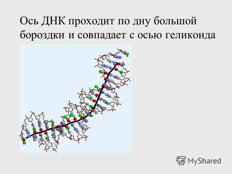 Пройти днк. Пройти днк. Генетический тест днк. Результаты теста днк на родство. Исследование днк анализа.