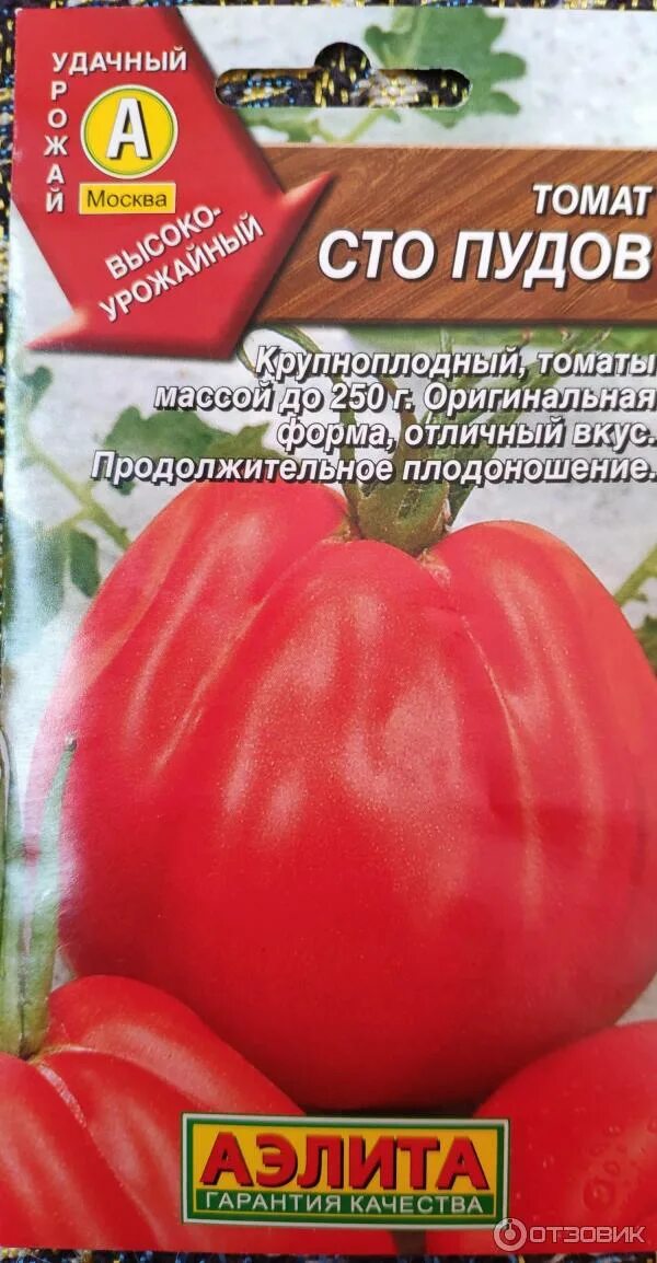 Томат сто пудов семена. Манная крупа сто пудов. Сорт томата сто пудов. Сорт помидор 100 пудов. Сорт томата сто пудов.