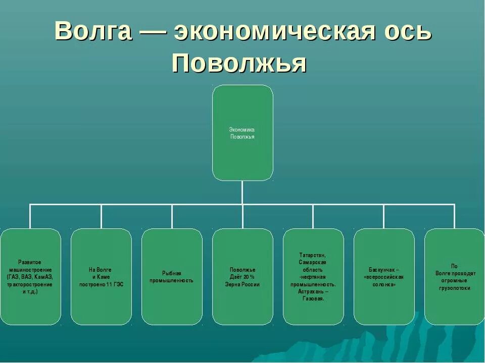 Главной осью поволжья является волга