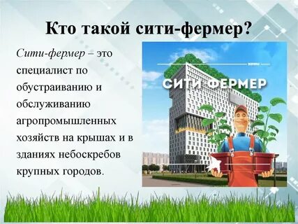 Сити фермер