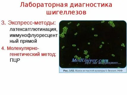 Тест шигеллезы