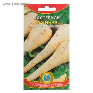 Сорта пастернака