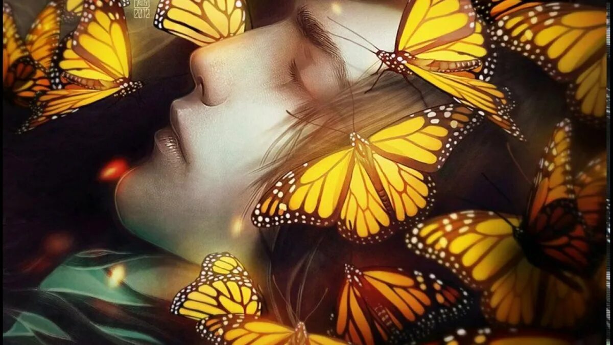 Девушка-бабочка. Бабочка арт. Бабочки арты. Бабочки фэнтези. Спящие ночью бабочки