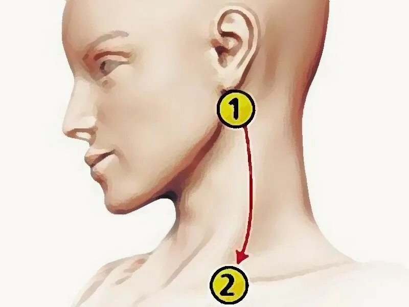 Сильно пульсирует шея. Шишка на шее под мочкой.