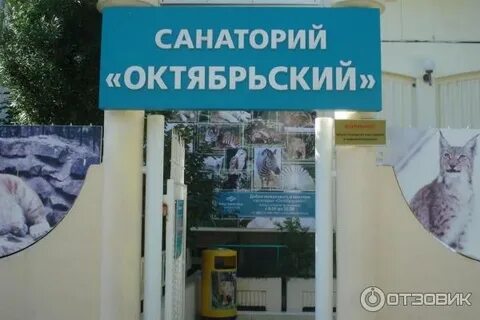 Зоопарк мамайка санаторий октябрьский