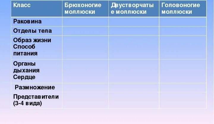Число видов двустворчатых