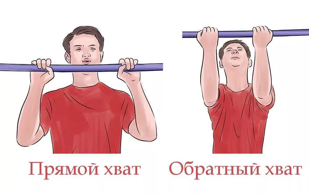 Подтягивания прямым хватом. Подтягивания обратным хватом мышцы. Тяга верхнего блока с v-рукоятью. Подтягивания параллельным хватом мышцы. Узкий обратный хват на турнике.