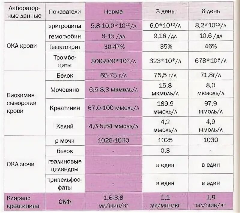 Креатинин что это простыми словами