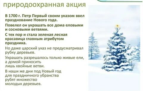 Листовка живи