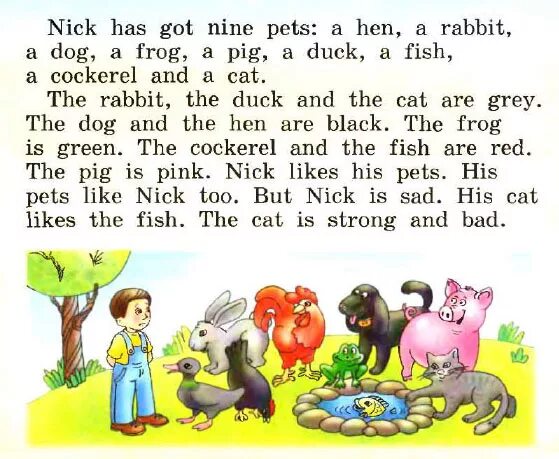 Nick has got a Dog. Английский 2 класс страница 101. Rabbit текст на английском 2 класс. Nick has got Nine Pets.