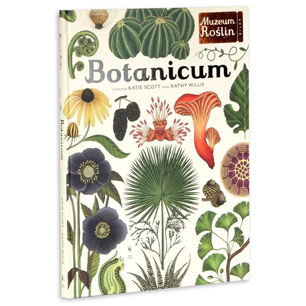 Botanicum книга. Ботаникум. Botanicum кэти. Уиллис к. Ботаникум книга махаон.
