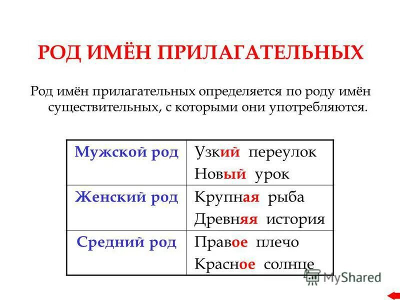 Определяется ли род у прилагательных. Определяется ли род у прилагательных