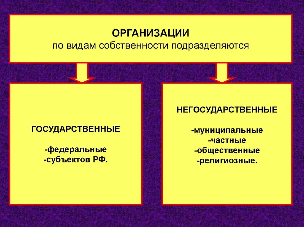 Государственные и негосударственные организации. Государственные и негосударственные юридические лица. Особенности государственных и негосударственных организаций. Негосударственные организации примеры.