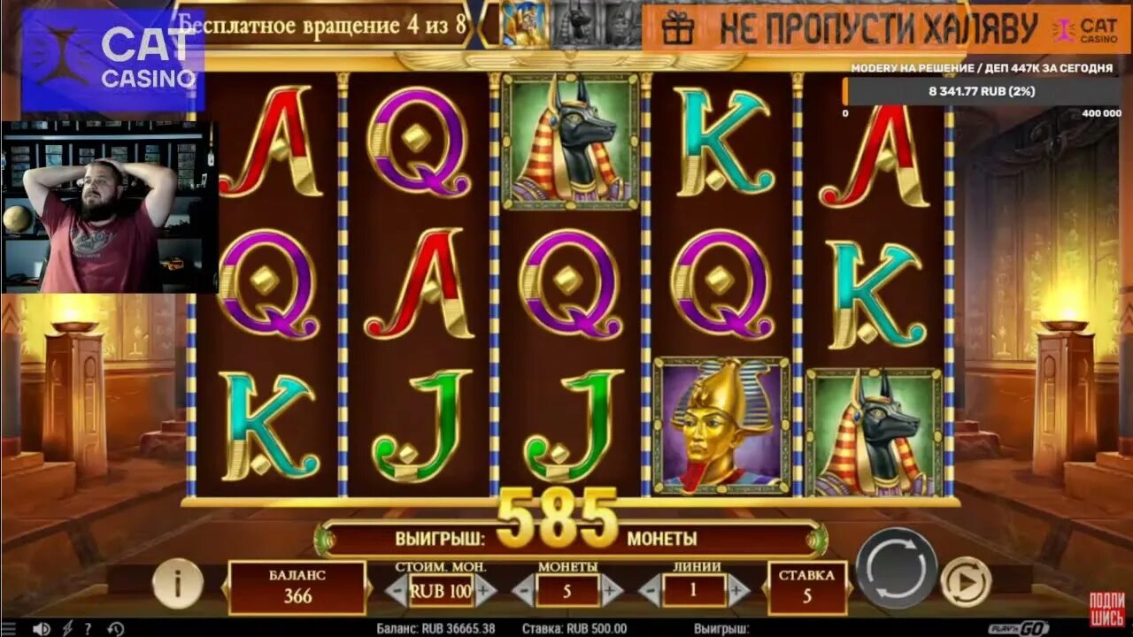 Casino cat cat license play space. Cat казино. Слоты Кэт казино. Заносы в Кэт казино.