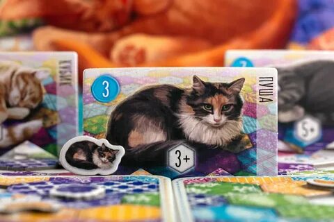 Кот играет в настольные игры