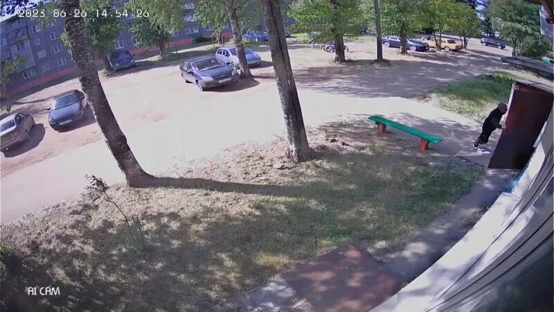 новости коряжмы сплетник. новости коряжмы сплетник. сплетник коряжмы. новости коряжмы сплетник. ктв коряжма.