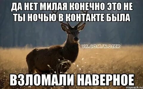 Конечно милый