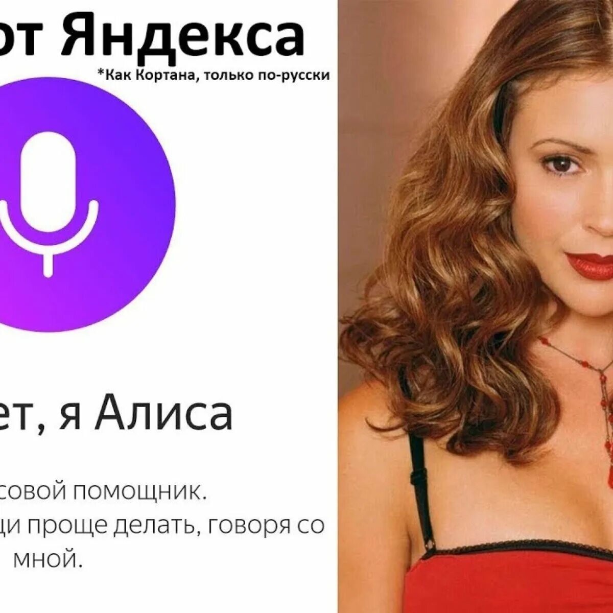 Алиса где бу