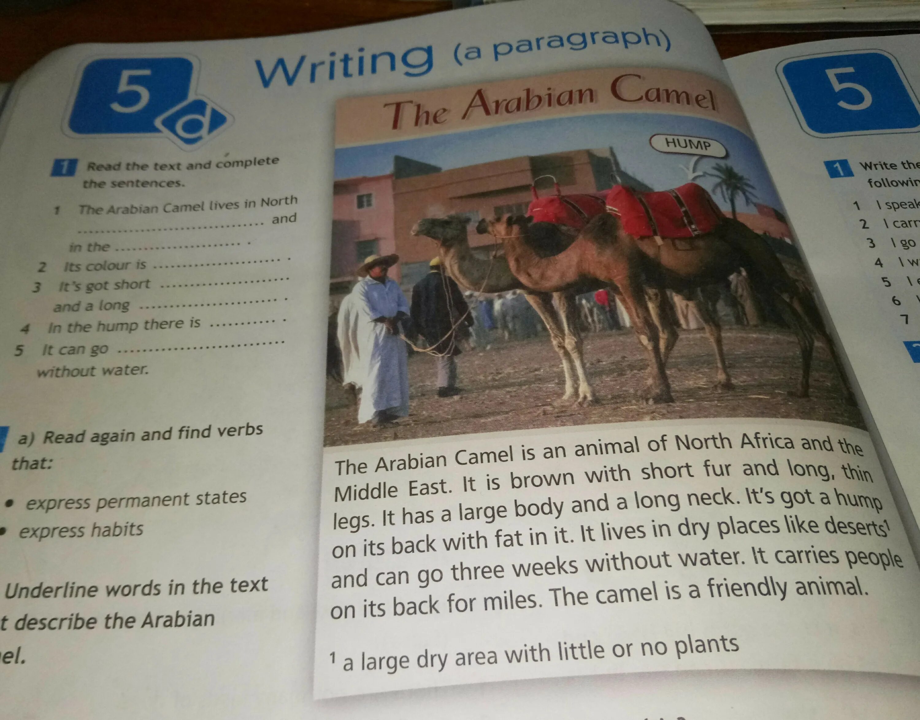 The Arabian Camel 5 класс. Английский язык пятый класс the Arabian Camel Cheetah. Read again and find verbs that. Camel перевод. Camel перевод на русский