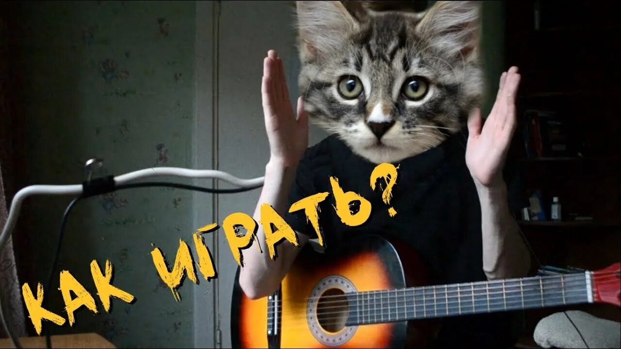 Песня котенок кис кис. Гитара &quot;котенок&quot;. котёнок папин олимпос. котёнок папин олимпос на гитаре. котенок папин олимпос табы.