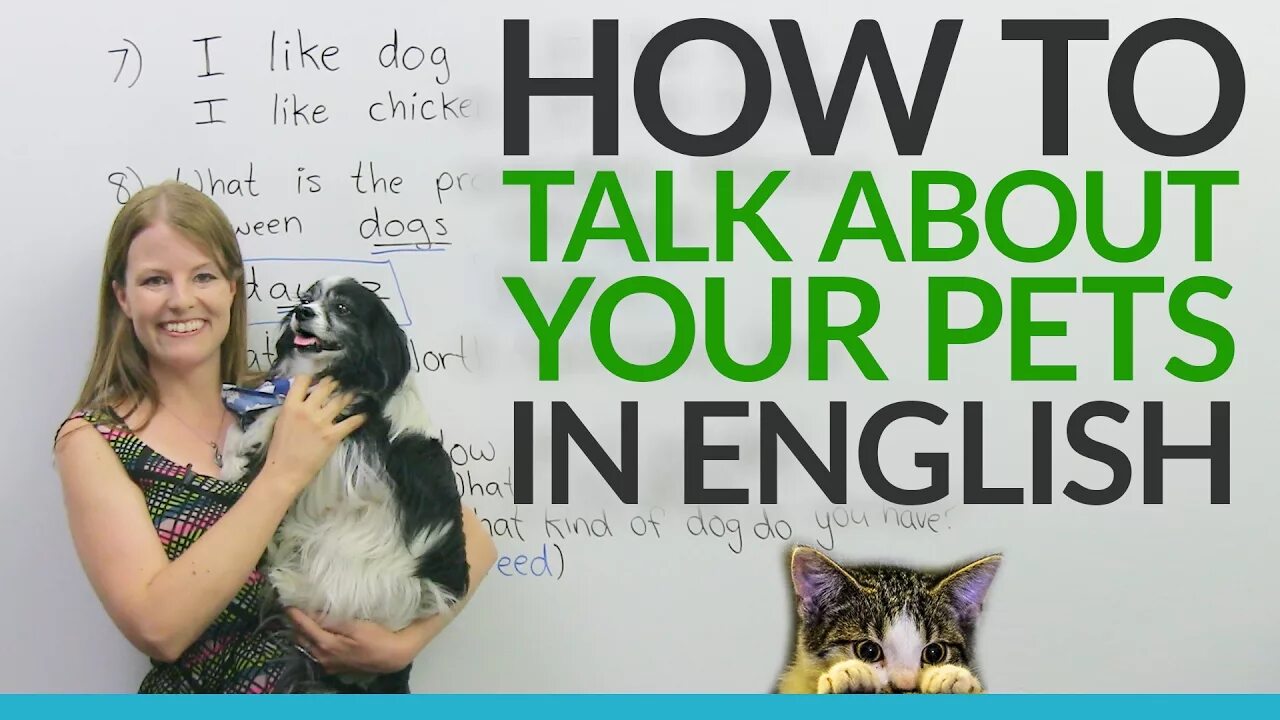 Give a talk about pets. About Pets. Let's talk about Pets. Speaking about Pets. Pets English.