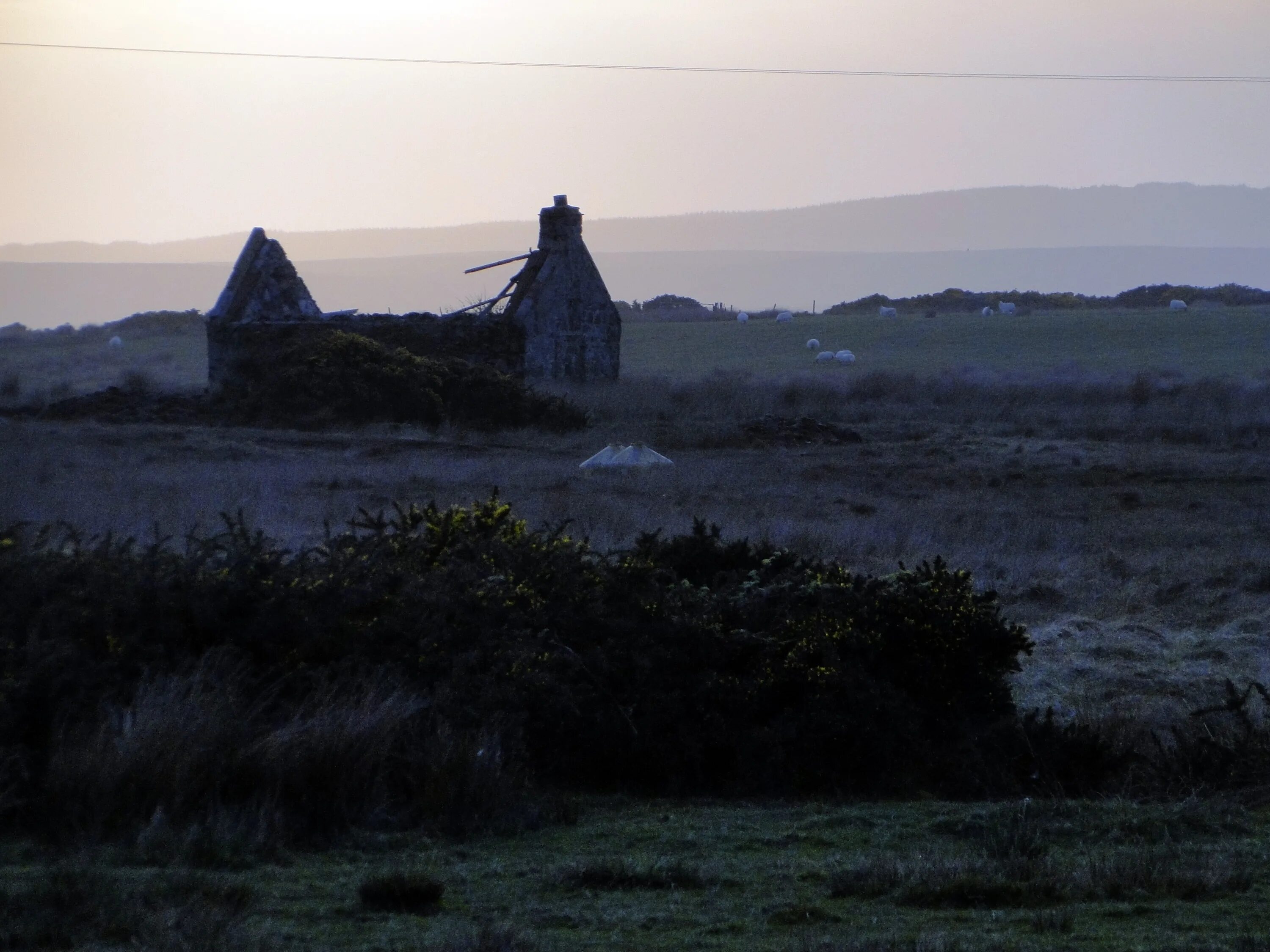 Old dawn