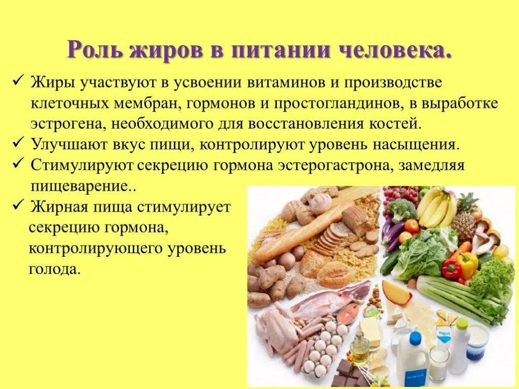 Основные липиды пищи. Роль жиров в питании человека. Роль растительных жиров в питании человека. Роль жиров в рациональном питании человека. Жиры в рационе питания человека.
