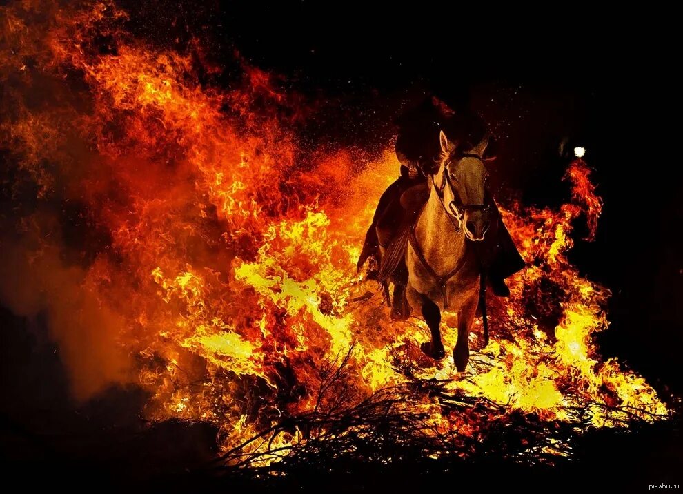 Пожар в белой лошади. Огненный конь. Кони у костра. Всадник на огненном коне. Огненный всадник.