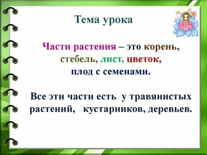 Урок растения 3 класс презентация