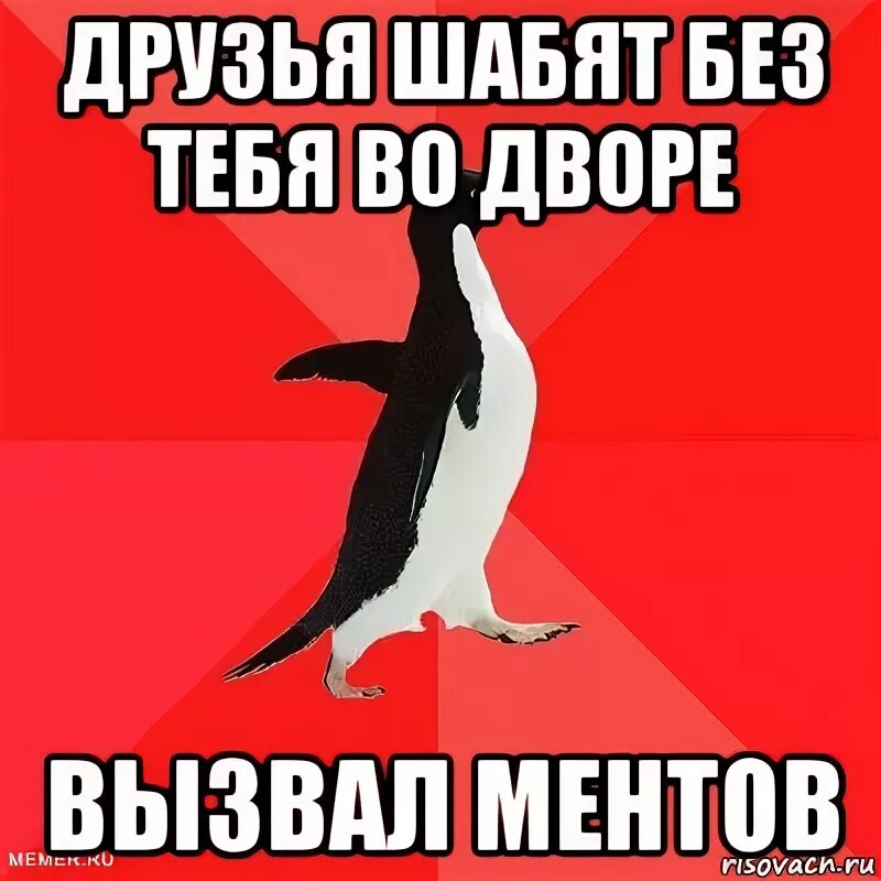 Шабить. Социально агрессивный Пингвин. Не шабить. Агрессивный Пингвин мемы. Песня люблю тебя больше чем курить шабить