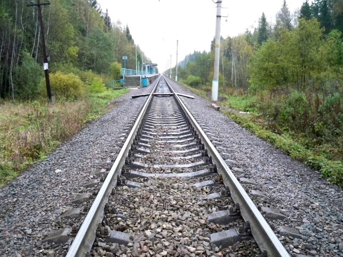 Платформа 141 км. Платформа 141 км Рижское направление. Станция 141 км Рижского направления. Станция ОП 141 км Рижское направление.