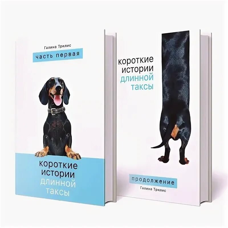 Ronda s dog is not long перевод. Короткие истории длинной таксы книга. Невероятно длинная история про таксу книга. Собачка Чапа книга. Орлова а невероятно длинная история про таксу.