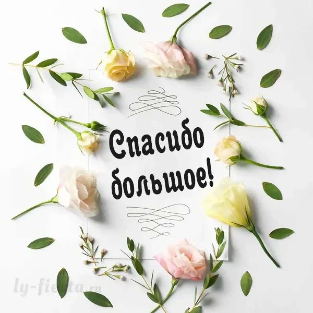Благодарю за "Образцовый магазин 2016"!!!: Новости магазинов в журнале Ярмарки М
