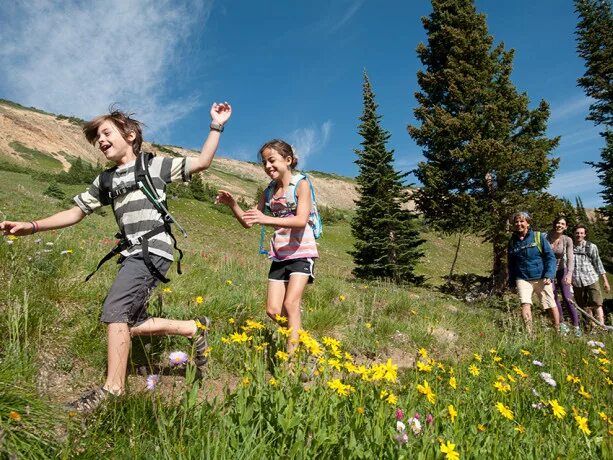 Хайкинг по солнечной тропе. Хайкинг летом ботаник. Children go Hiking. Go to the Mountains картинка для детей. Go for activities