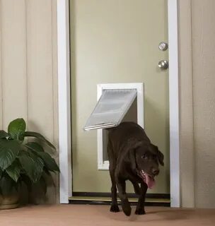 Dog door