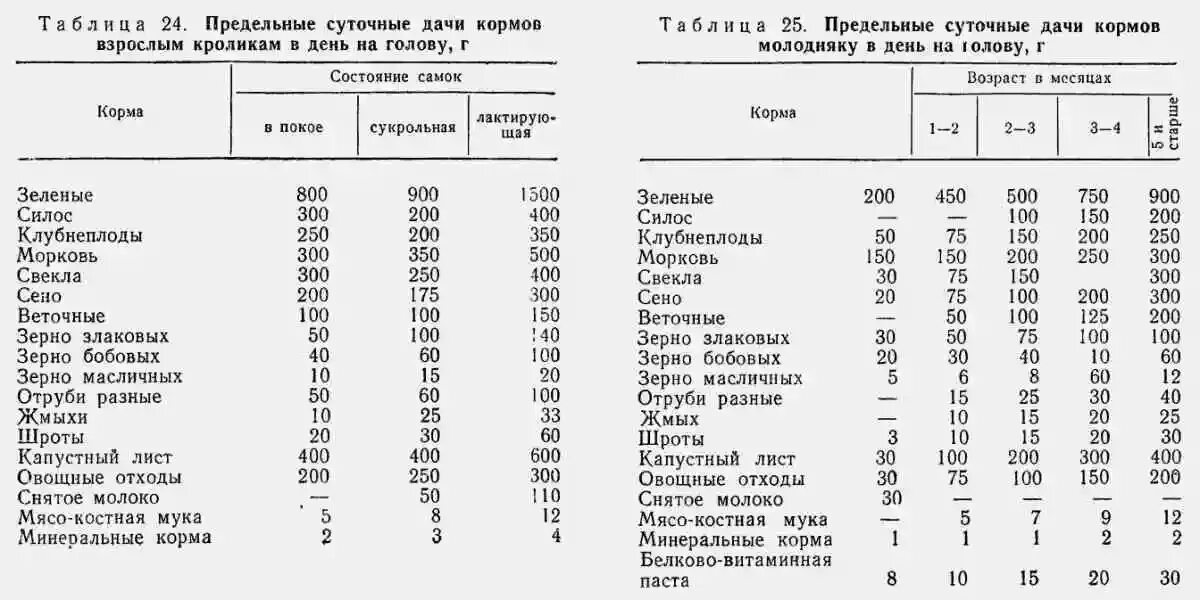 Сколько кормить кролика. Количество корма для кроликов в день. Рацион кормления кроликов. Разрешенные нормы кормления кроликов. Сколько корма нужно кролику.