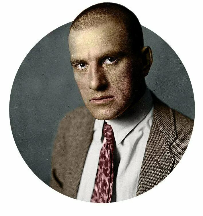 Маяковский представитель. Владимир владимирович м. Владимир маяковский молодой. Маяковский представитель. Маяковский представитель.