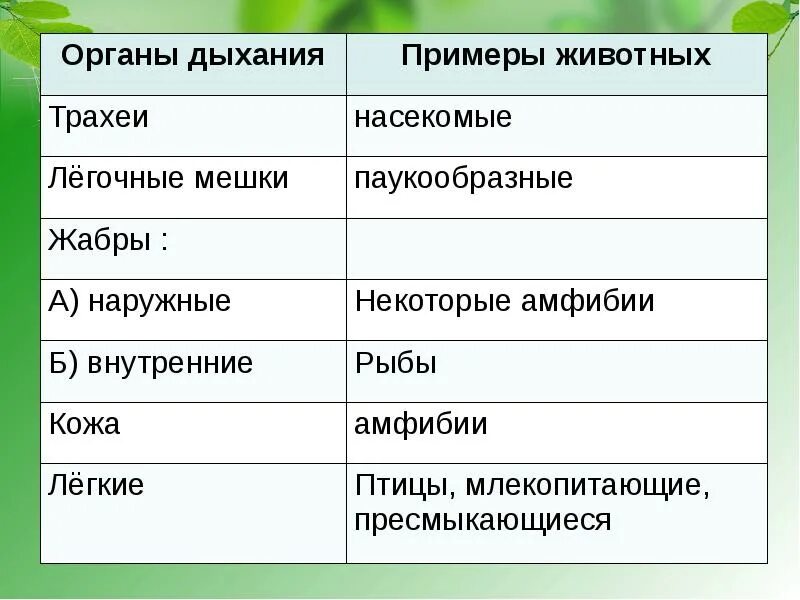 4 типа дыхания животных. Типы дыхательной системы у животных. дыхание животных это процесс. способы дыхания животных. органы дыхания животных таблица.
