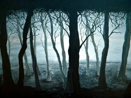 The woods collection dark
