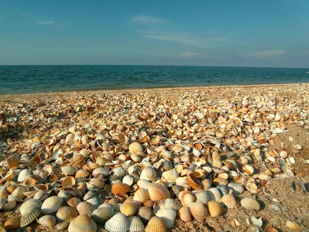 Азовское море станица Голубицкая. Станица Голубицкая Краснодарский край море. Темрюк станица Голубицкая. Тамань станица Голубицкая. Отзывы отдыхающих в мае